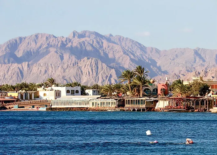 Hotel Red Sea Relax