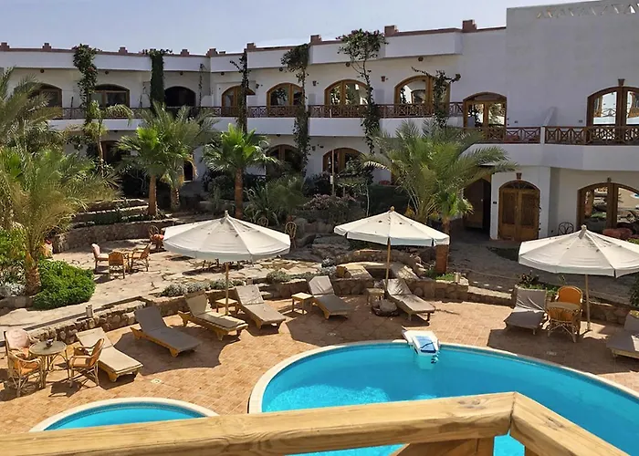 Hotel Red Sea Relax